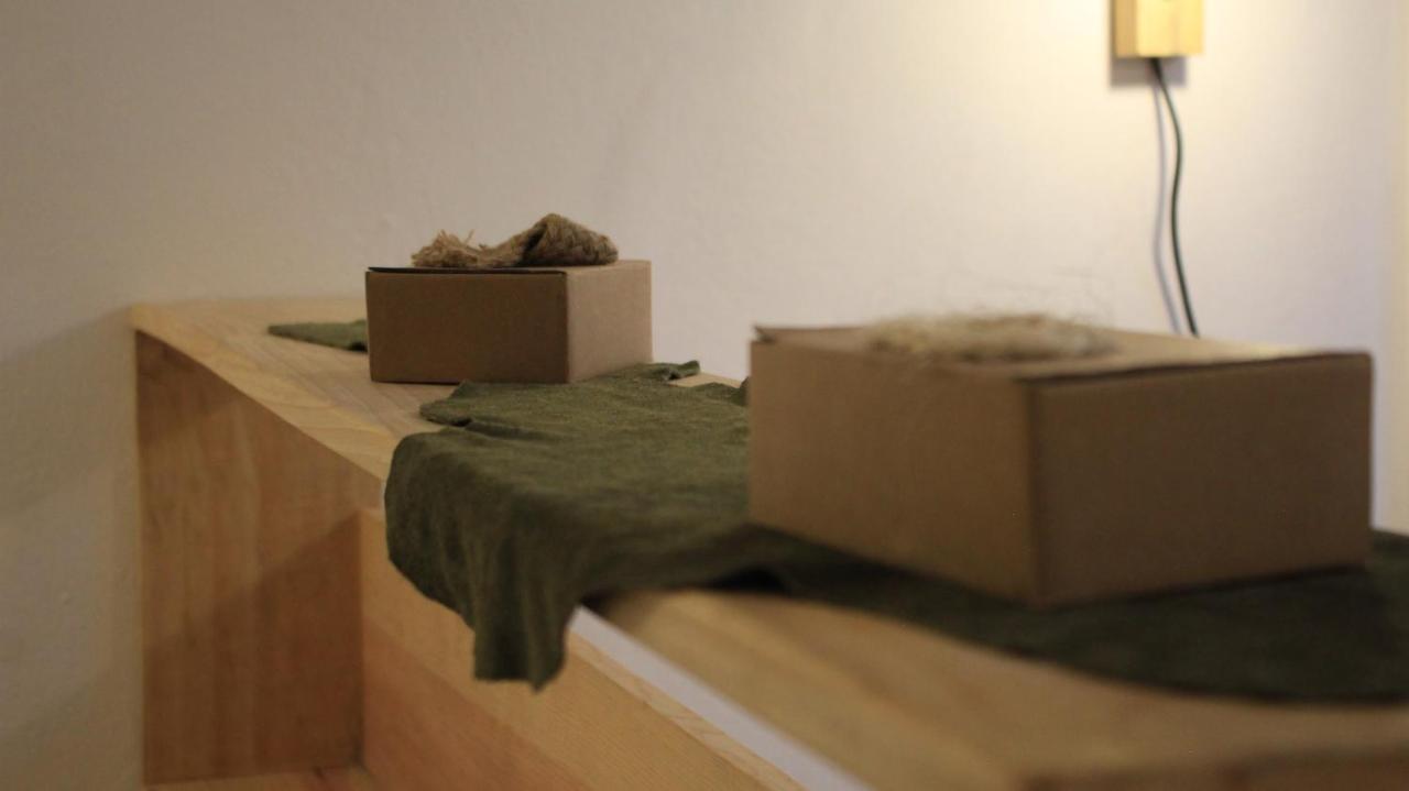 Hostel Boutique 55 San Cristóbal de Las Casas Екстериор снимка