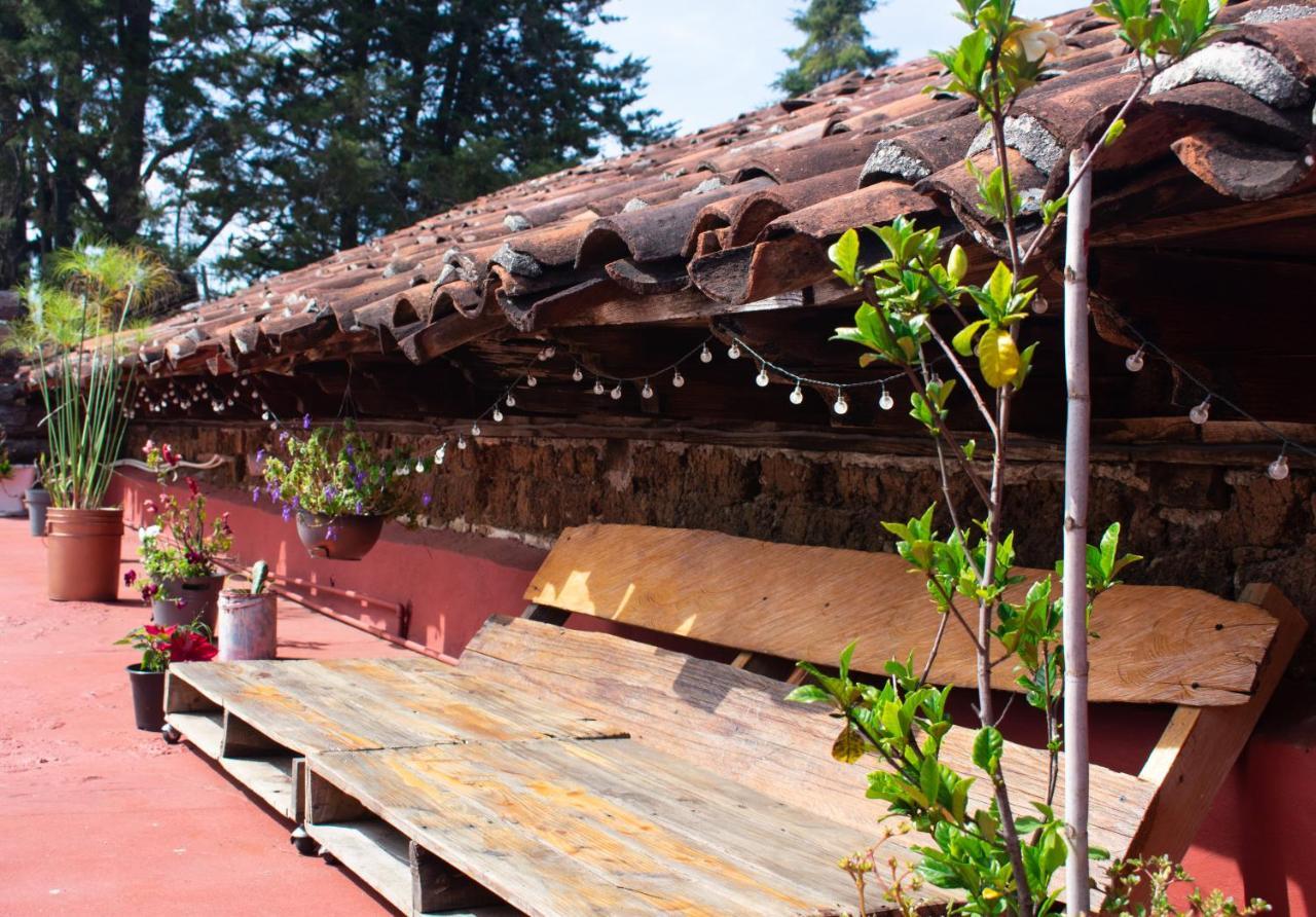 Hostel Boutique 55 San Cristóbal de Las Casas Екстериор снимка